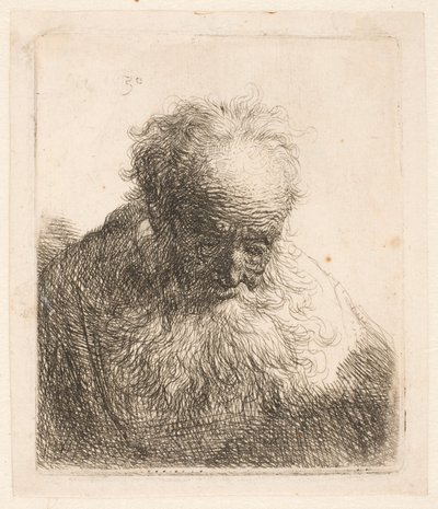 Bust of an Old Man with Flowing Beard: The Head Bowed Forward: Left Shoulder Unshaded by Rembrandt van Rijn