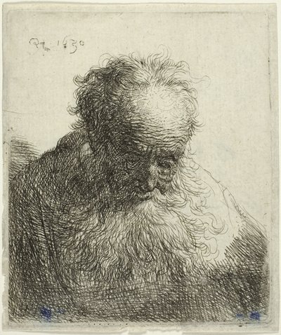 Bust of an Old Man with a Flowing Beard: The Head Bowed Forward: Left Shoulder Unshaded by Rembrandt van Rijn