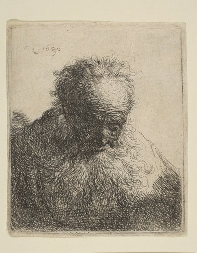 Bust of an Old Man with a Flowing Beard: the Head Bowed Forward: Left Shoulder Unshaded by Rembrandt van Rijn