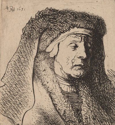 Bust of an Old Woman in a Furred Cloak and Heavy Headdress by Rembrandt van Rijn