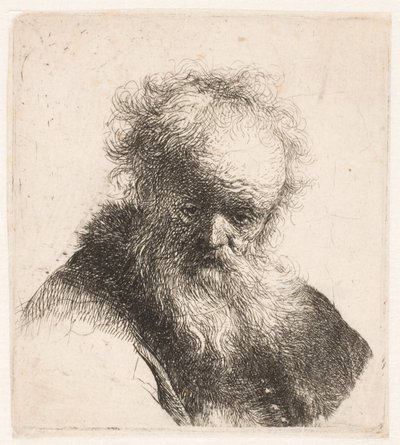 Bust of an Old Man with Flowing Beard and White Sleeve by Rembrandt van Rijn