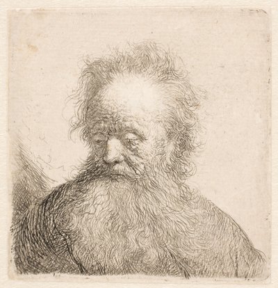 Bust of an Old Man with Flowing Beard by Rembrandt van Rijn