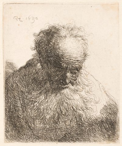 Bust of an Old Man with Flowing Beard: Head Bowed Forward by Rembrandt van Rijn