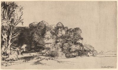 Clump of Trees with a Vista by Rembrandt van Rijn
