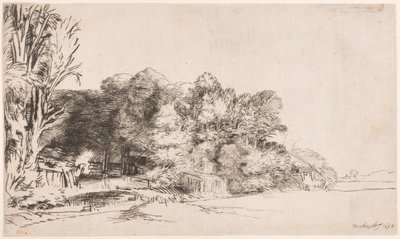 Clump of Trees with a Vista by Rembrandt van Rijn