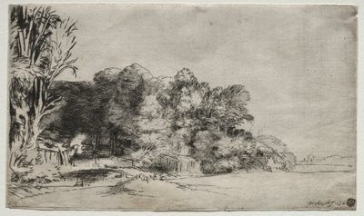 Clump of Trees with a Vista by Rembrandt van Rijn