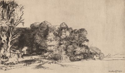 Clump of Trees with a Vista by Rembrandt van Rijn