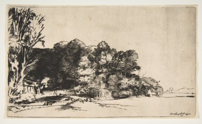 Clump of Trees with a Vista by Rembrandt van Rijn
