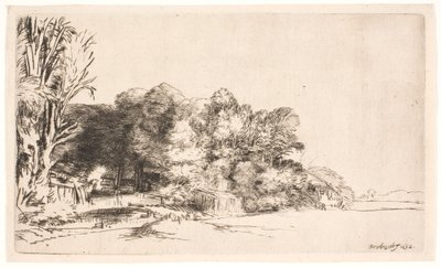 Clump of Trees with a Vista by Rembrandt van Rijn