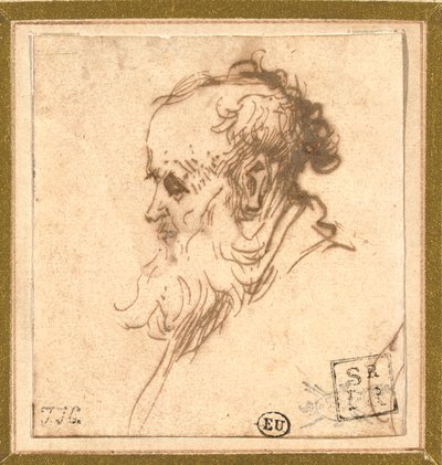 Head of a Bearded Man in Profile to the Left by Rembrandt van Rijn