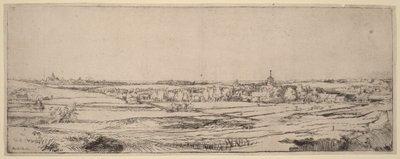Landscape with a View Toward Haarlem (The Goldweigher