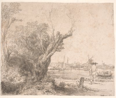 Landscape. 