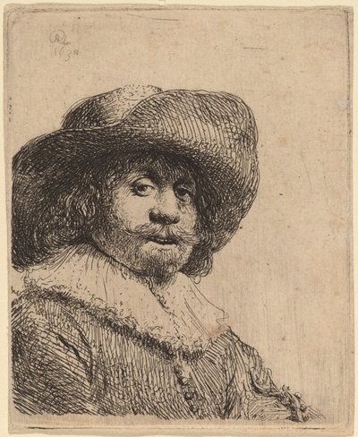 Man in a Broad-Brimmed Hat by Rembrandt van Rijn
