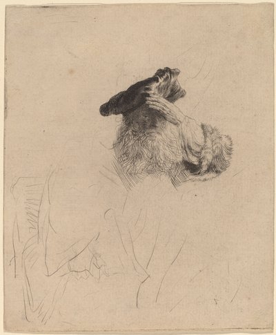 Old Man Shading His Eyes with His Hand by Rembrandt van Rijn