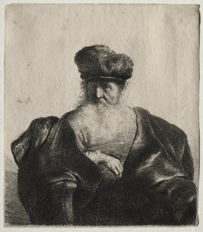 Old Man with Beard, Fur Cap, and Velvet Cloak by Rembrandt van Rijn