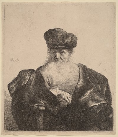 Old Man with Beard, Fur Cap, and Velvet Cloak by Rembrandt van Rijn