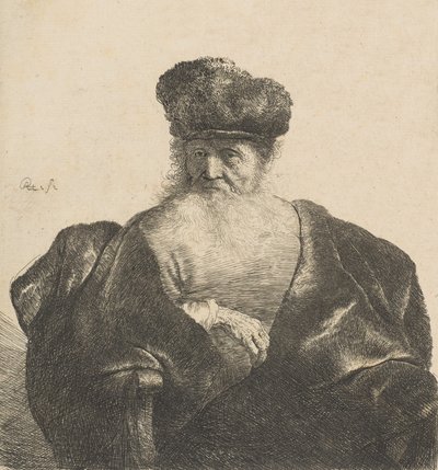 Old Man with Beard, Fur Cap, and Velvet Cloak by Rembrandt van Rijn