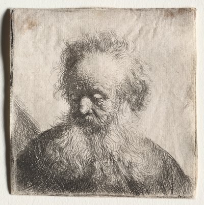 Old Man with a Flowing Beard: Bust by Rembrandt van Rijn