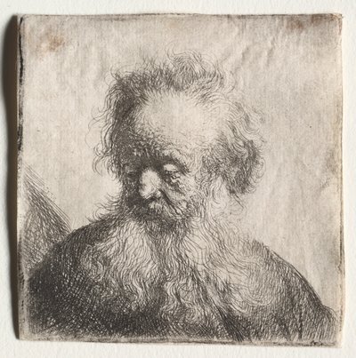 Old Man with a Flowing Beard: Bust, 1631 by Rembrandt van Rijn