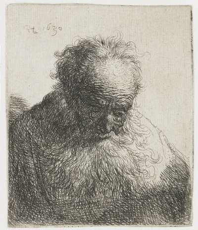 Old Man with a Flowing Beard, the Left Shoulder Unshaded by Rembrandt van Rijn
