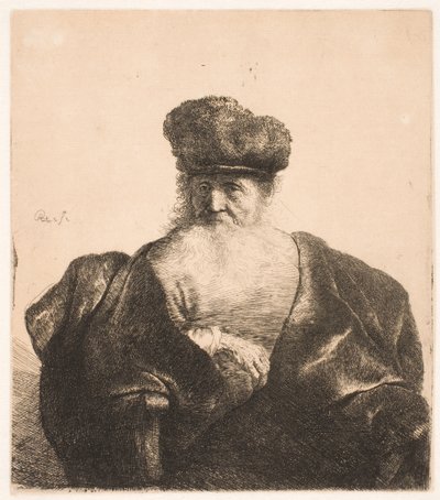 Old Man Seated, with Flowing Beard, Fur Cap and Velvet Cloak by Rembrandt van Rijn