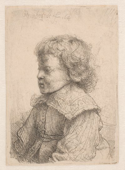 Portrait of a Boy, in Profile by Rembrandt van Rijn
