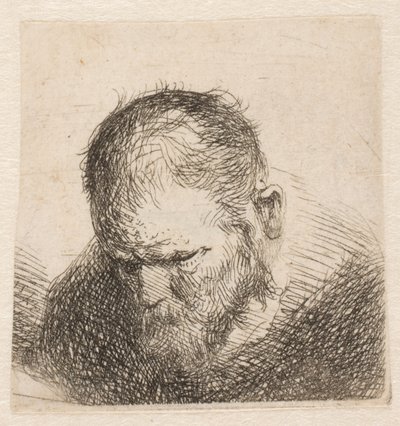 Small Bust of a Bearded Man Looking Down, with Eyes Nearly Closed by Rembrandt van Rijn