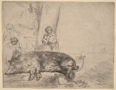 The Hog by Rembrandt van Rijn