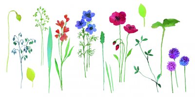 Colorful Watercolor Blooms by Renate Holzner