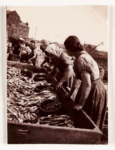 Fishing, Fisherfolk Women Sorting Fish, Whitby Harbour, North Yorkshire by John Pardon