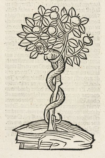 The Serpent in the Tree of Knowledge by John Pardon
