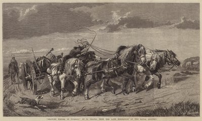 Drawing Timber in Picardy by Richard Beavis