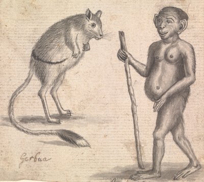 Monkeys (one of three on one mount) by Richard Brookes