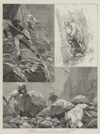 Hunting Wild Goats in the Rocky Mountains, North America by Richard Caton Woodville junior