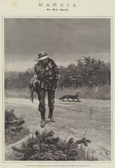 Maruja, by Bret Harte by Richard Caton Woodville junior