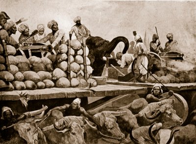 The Nawab
