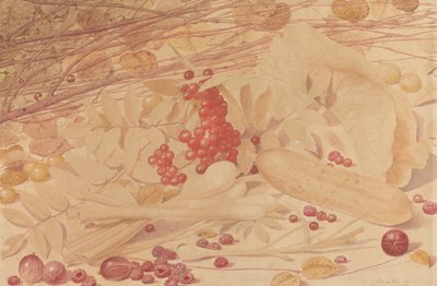 Still Life with Gooseberries, Raspberries, Red Currants, Spring Onions, a Gherkin and Foliage by Richard Dadd