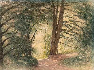 Box Hill, Surrey by Richard Doyle