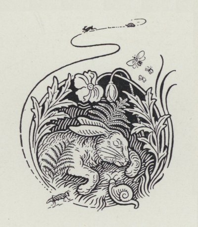 The Hare And The Tortoise by Richard Heighway