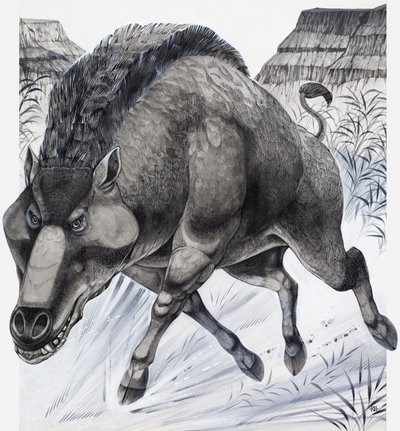 Daeodon by Richard Hook