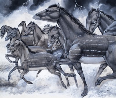 Horses in Miniature, from 