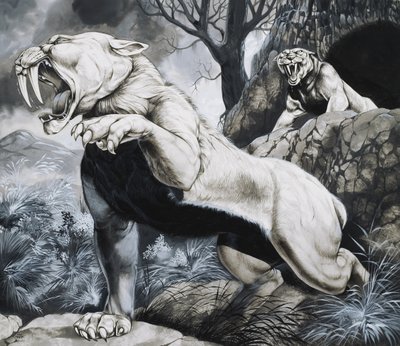 Sabre-toothed Tigers by Richard Hook