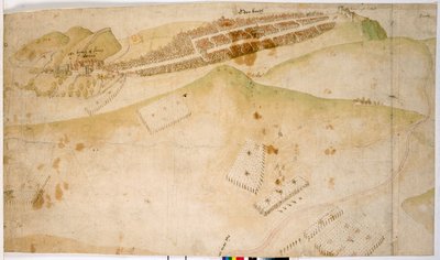 A Coloured Plan, or Bird