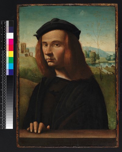 Portrait of a Young Man, 1500 by Ridolfo Ghirlandaio