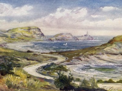 View near Mumbles, Swansea by Robert (after) Fowler