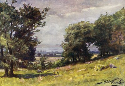 Windy Day, near Llanrug by Robert (after) Fowler
