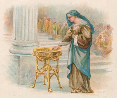The Widow