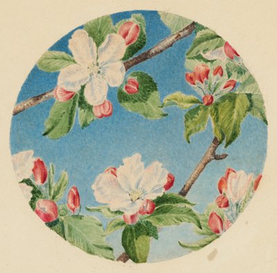 Apple Blossoms, c.1869 by Robert B. Brandegee