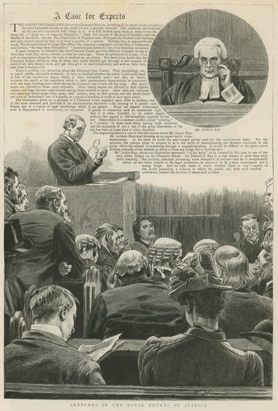 A Case for experts: Sketches in the Royal Courts of Justice; with a vignette of Mr Justice Kay by Robert Barnes