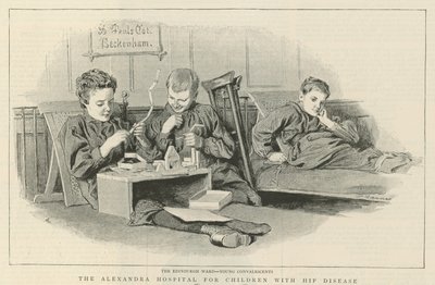 The Alexandra Hospital for Children with Hip Disease: The Edinburgh Ward by Robert Barnes